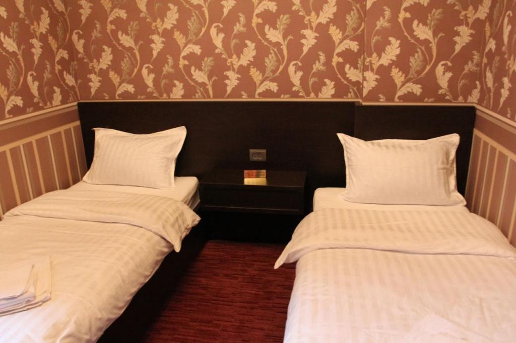Hotel Style Bessarabia Kiliya Pokoj fotografie
